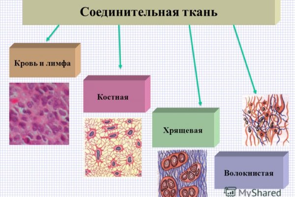 Кракен даркнет что известно