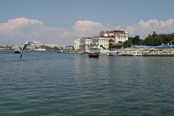 Кракен дарк шоп