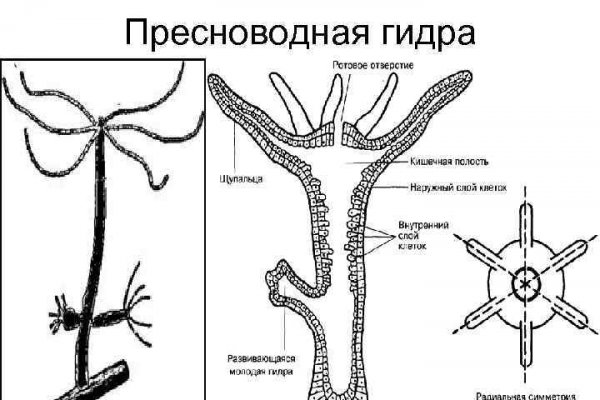 Ссылка на кракен официальный сайт