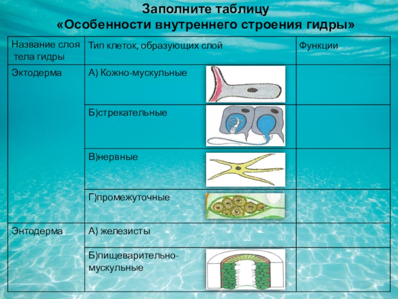 Кракен маркетплейс тор